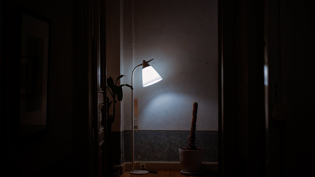 A cozy and elegant interior with a glowing lamp beside a potted plant, captured at night.